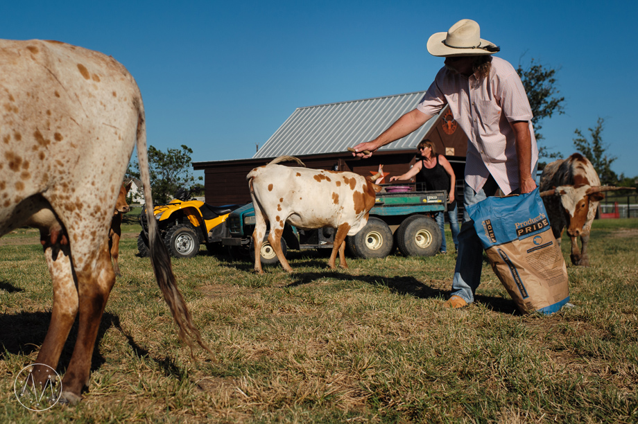 Texas Longhorn ranch family documentary in Celina TX (16)