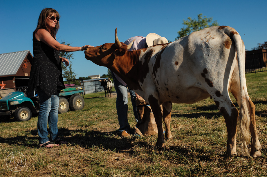 Texas Longhorn ranch family documentary in Celina TX (18)
