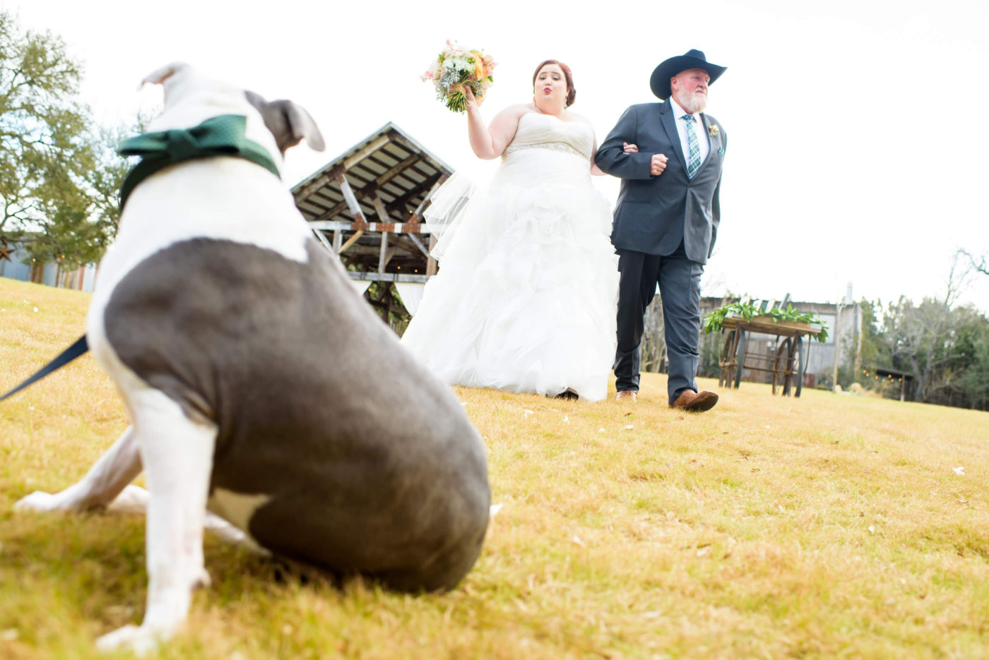 pitbull dog bride blows kiss wedding ceremony