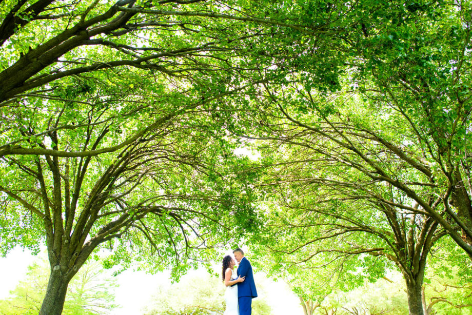 bride groom trees canopy daylight portrait